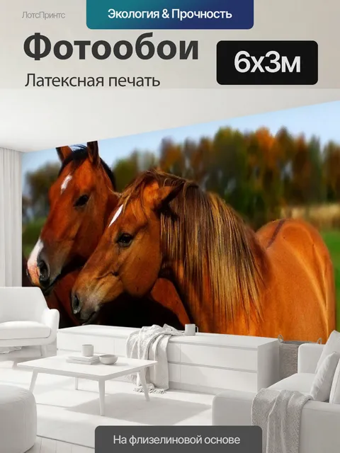 600 × 300 см · Латексная печать