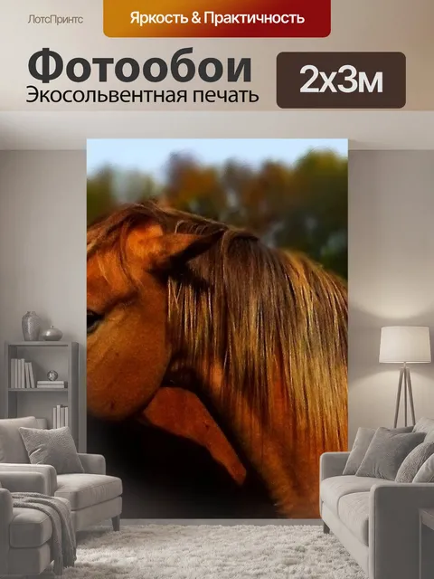 200 × 300 см · Экосольвентная печать