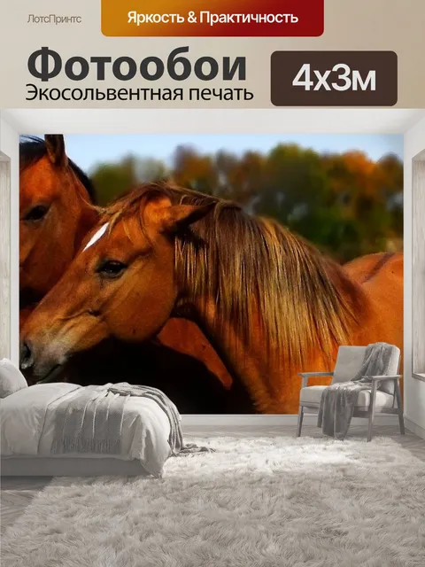 400 × 300 см · Экосольвентная печать