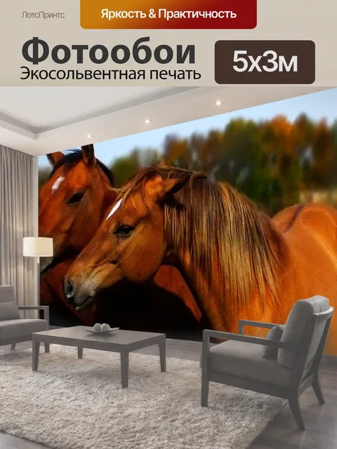 500 × 300 см · Экосольвентная печать