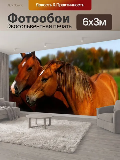 600 × 300 см · Экосольвентная печать