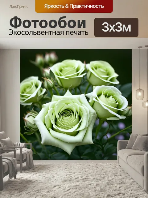 Фотообои Розы нежного светло-зеленого цвета, собранные в густую композицию. Каждый цветок раскрыт, с мягкими лепесткам…