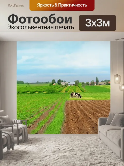 Фотообои Деревня, коровы, поле