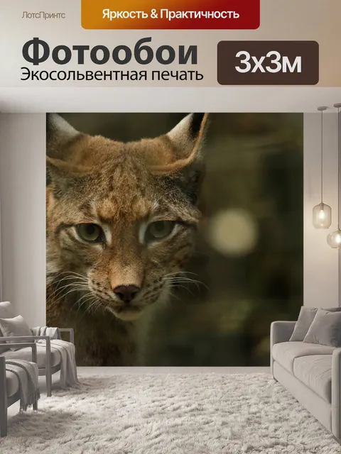 Фотообои Рысь, животное, хищник