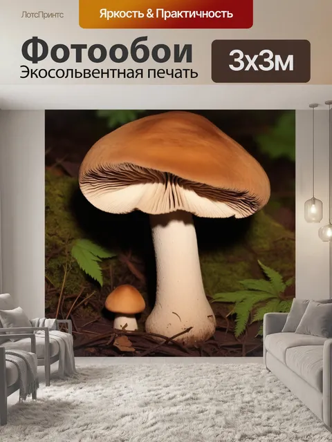 Фотообои Гриб и грибочек грибы растения