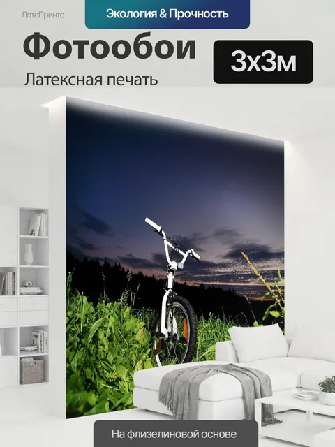 300 × 300 см · Латексная печать
