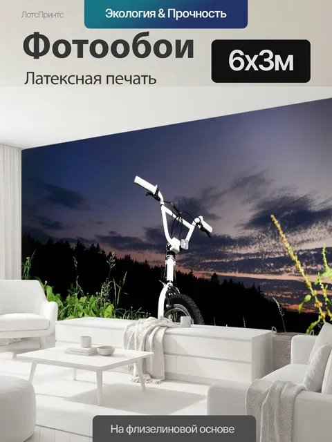 600 × 300 см · Латексная печать