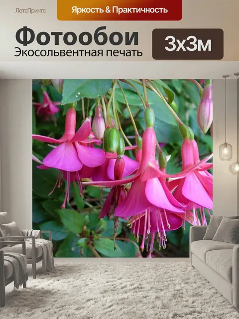 Фотообои Цветок, розовый, фуксия