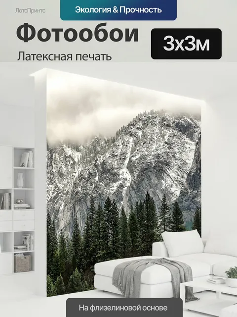 300 × 300 см · Латексная печать