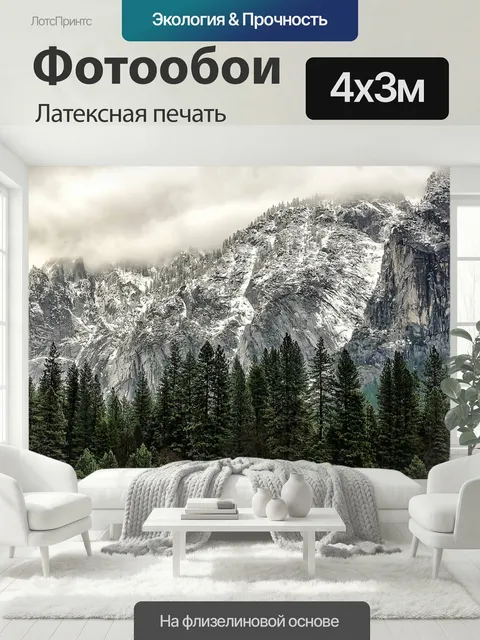 400 × 300 см · Латексная печать