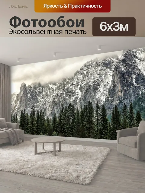 600 × 300 см · Экосольвентная печать