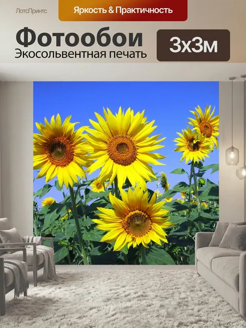 Фотообои Подсолнухи, подсолнечник, желтый