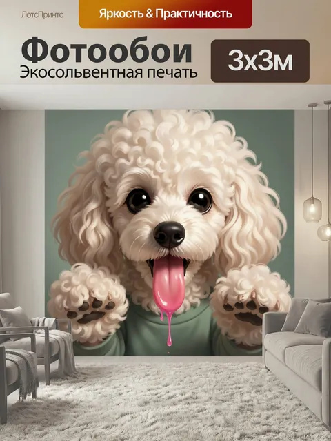 Фотообои Белый пудель с высунутым языком. Милый кудрявый щенок крупным планом с большими глазами и поднятыми лапками. …