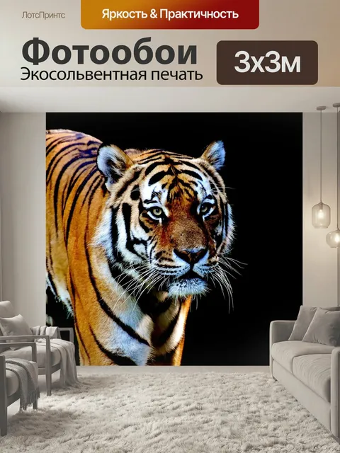 Фотообои Тигр, хищник, шерсть