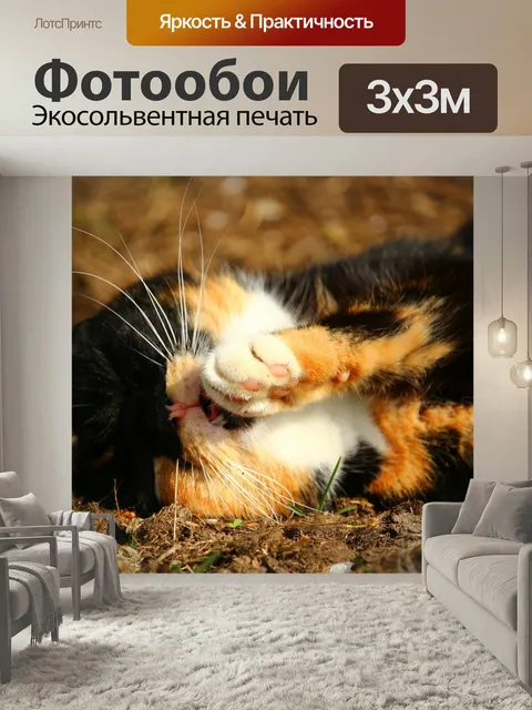 Фотообои Кот, котенок, lucky cat