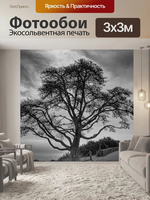 Фотообои Дерево, ветви, монохромный