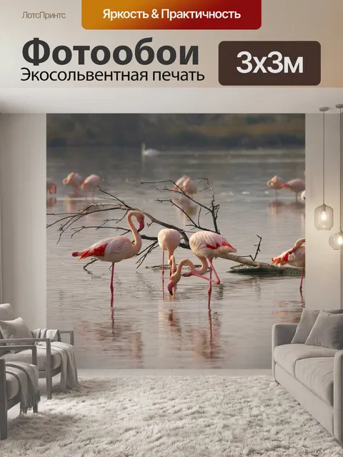 Фотообои Природа, фламинго, розовые фламинго