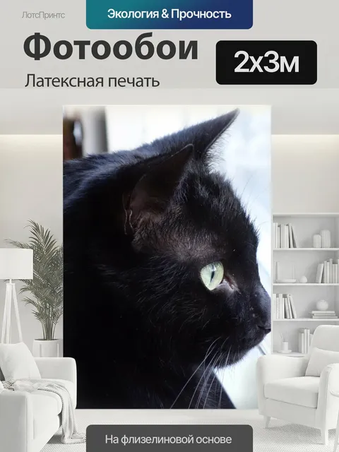 200 × 300 см · Латексная печать