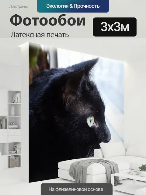300 × 300 см · Латексная печать