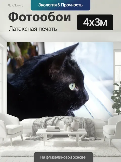 400 × 300 см · Латексная печать