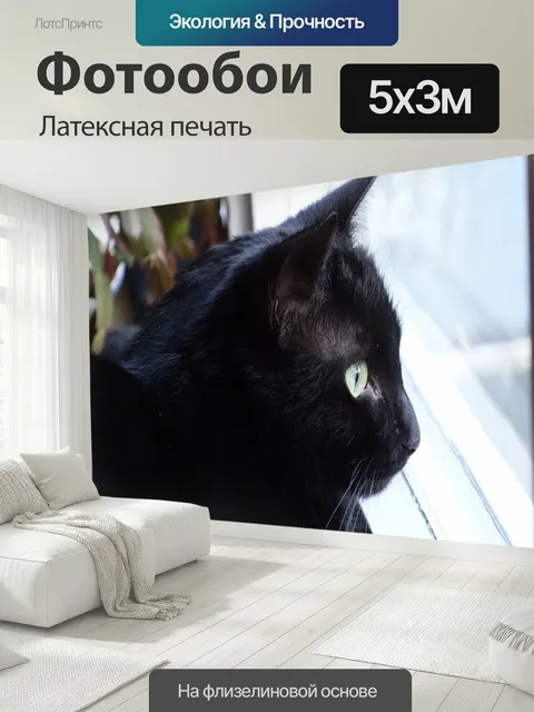500 × 300 см · Латексная печать
