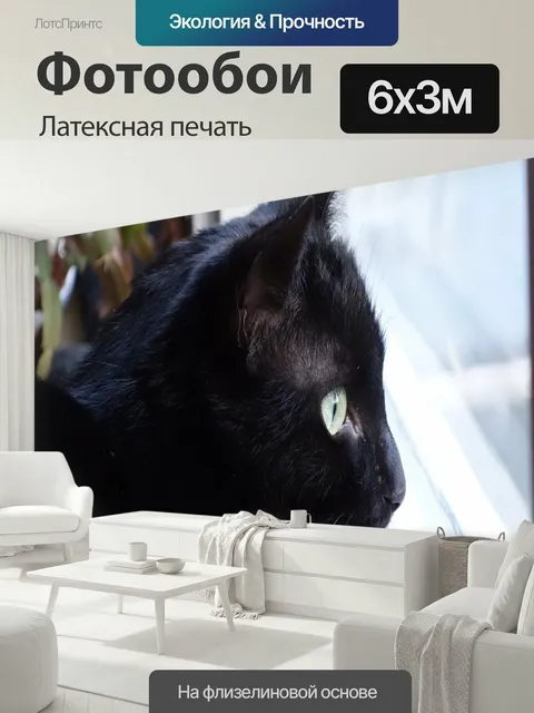 600 × 300 см · Латексная печать