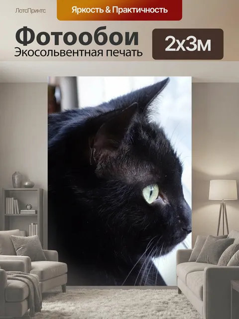 200 × 300 см · Экосольвентная печать