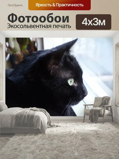 400 × 300 см · Экосольвентная печать