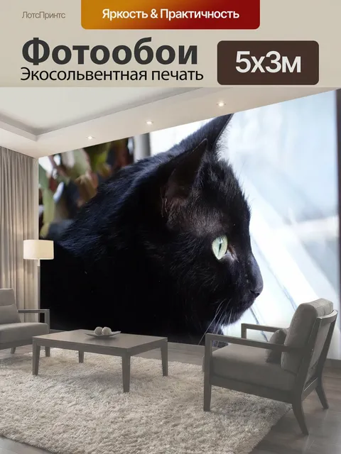500 × 300 см · Экосольвентная печать