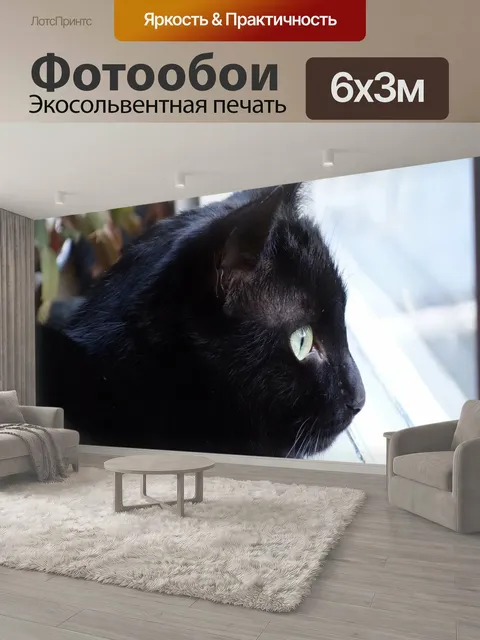 600 × 300 см · Экосольвентная печать