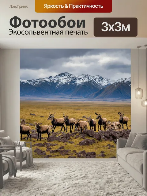Фотообои Охота: изображение высокогорного пейзажа с бескрайними просторами, увенчанного величественными горами с белос…