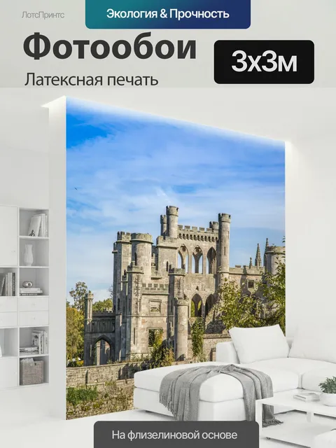 300 × 300 см · Латексная печать