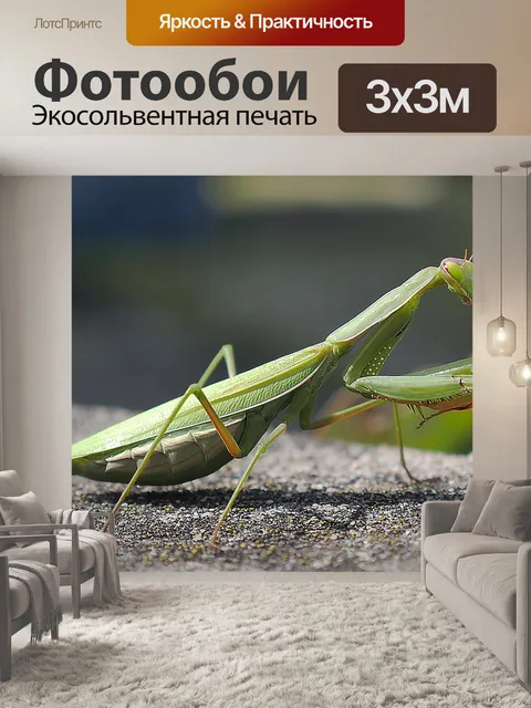 Фотообои Насекомое, богомол, зеленый