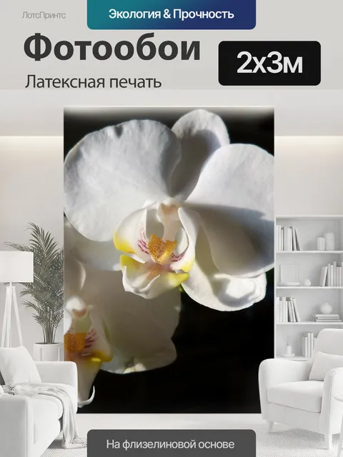 200 × 300 см · Латексная печать