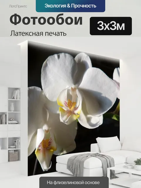 300 × 300 см · Латексная печать