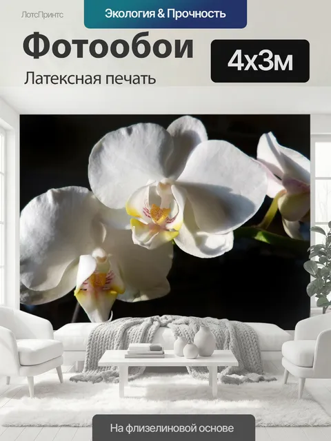 400 × 300 см · Латексная печать