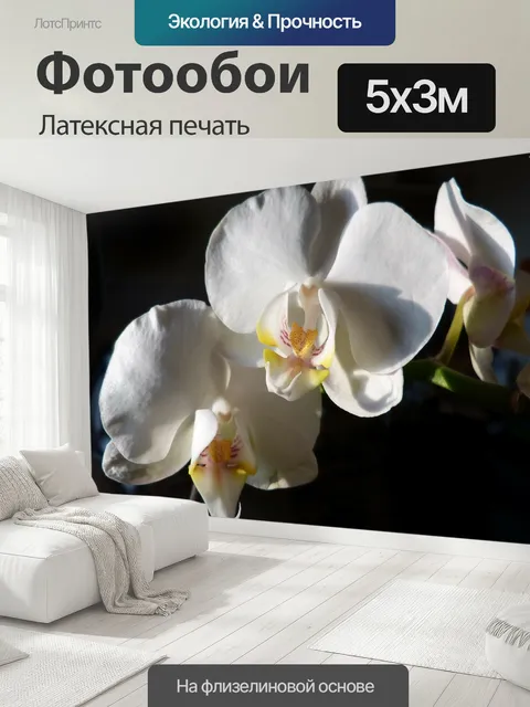 500 × 300 см · Латексная печать