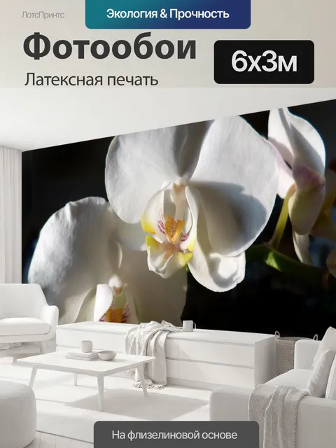 600 × 300 см · Латексная печать