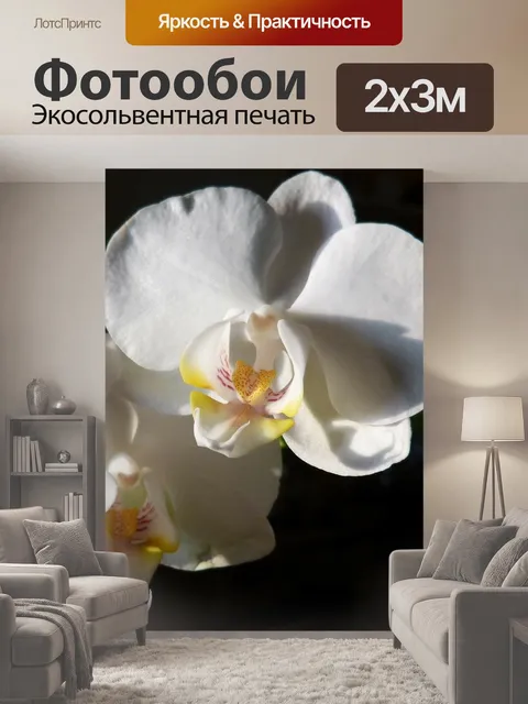 200 × 300 см · Экосольвентная печать
