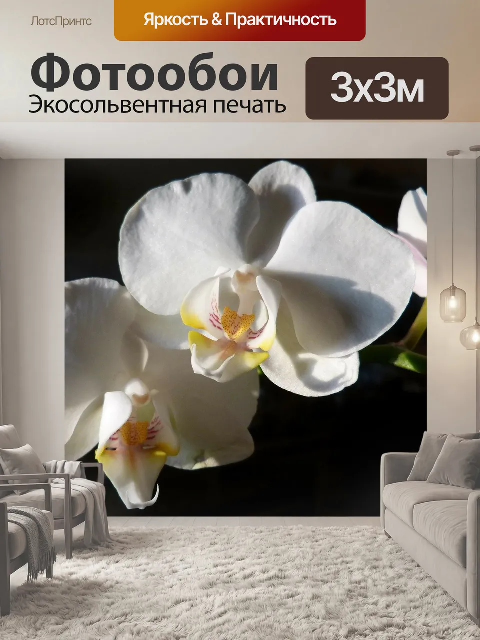 Фотообои Орхидея, фаленопсис, цвести