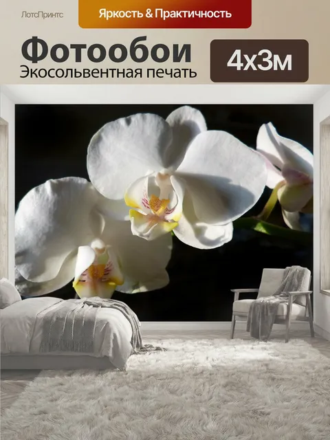 400 × 300 см · Экосольвентная печать