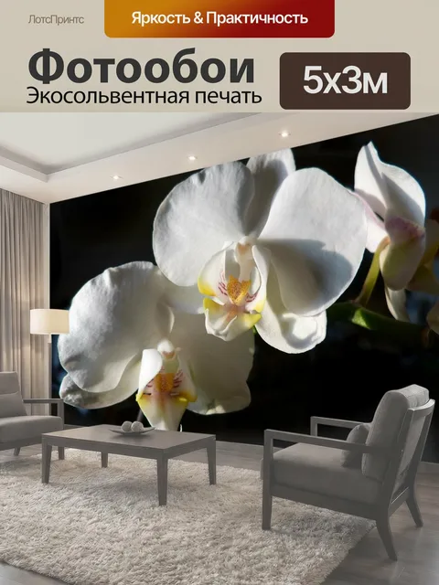 500 × 300 см · Экосольвентная печать