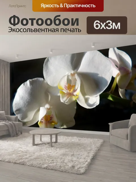 600 × 300 см · Экосольвентная печать