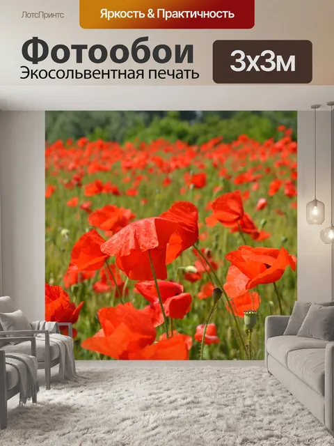 Фотообои Маки, красный, цветок