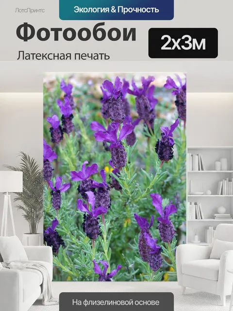 200 × 300 см · Латексная печать