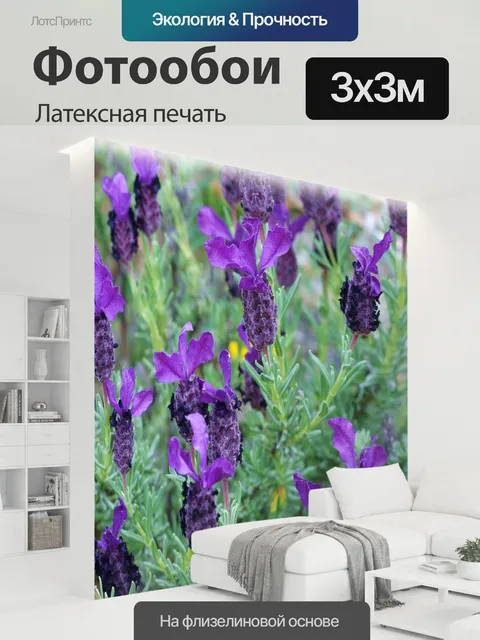 300 × 300 см · Латексная печать