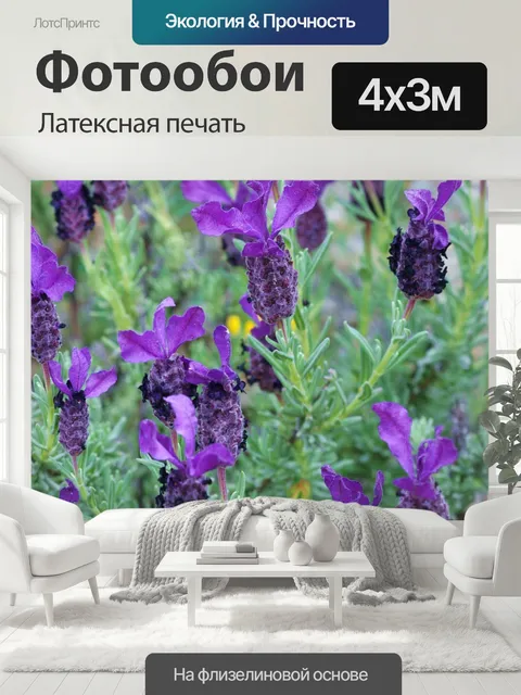 400 × 300 см · Латексная печать