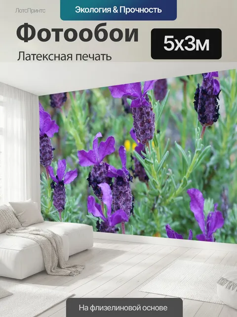 500 × 300 см · Латексная печать