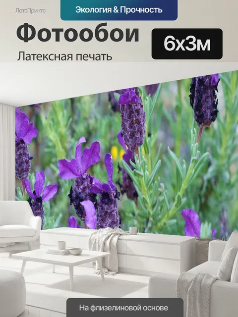 600 × 300 см · Латексная печать