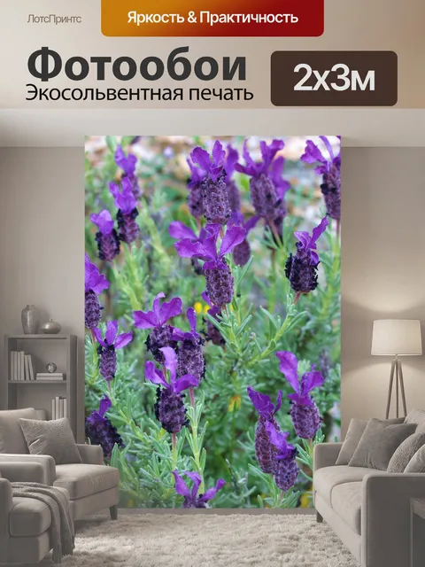 200 × 300 см · Экосольвентная печать